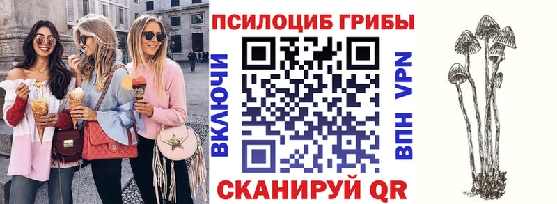 Купить  Гуково  Галлюциногенные грибы мицелий 